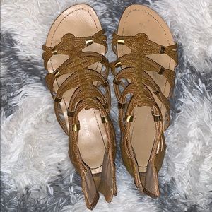 Tan gladiator Sandles